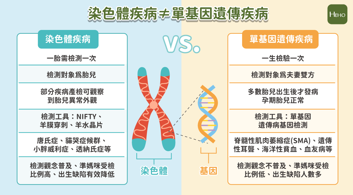 染色體疾病與單基因疾病的差別