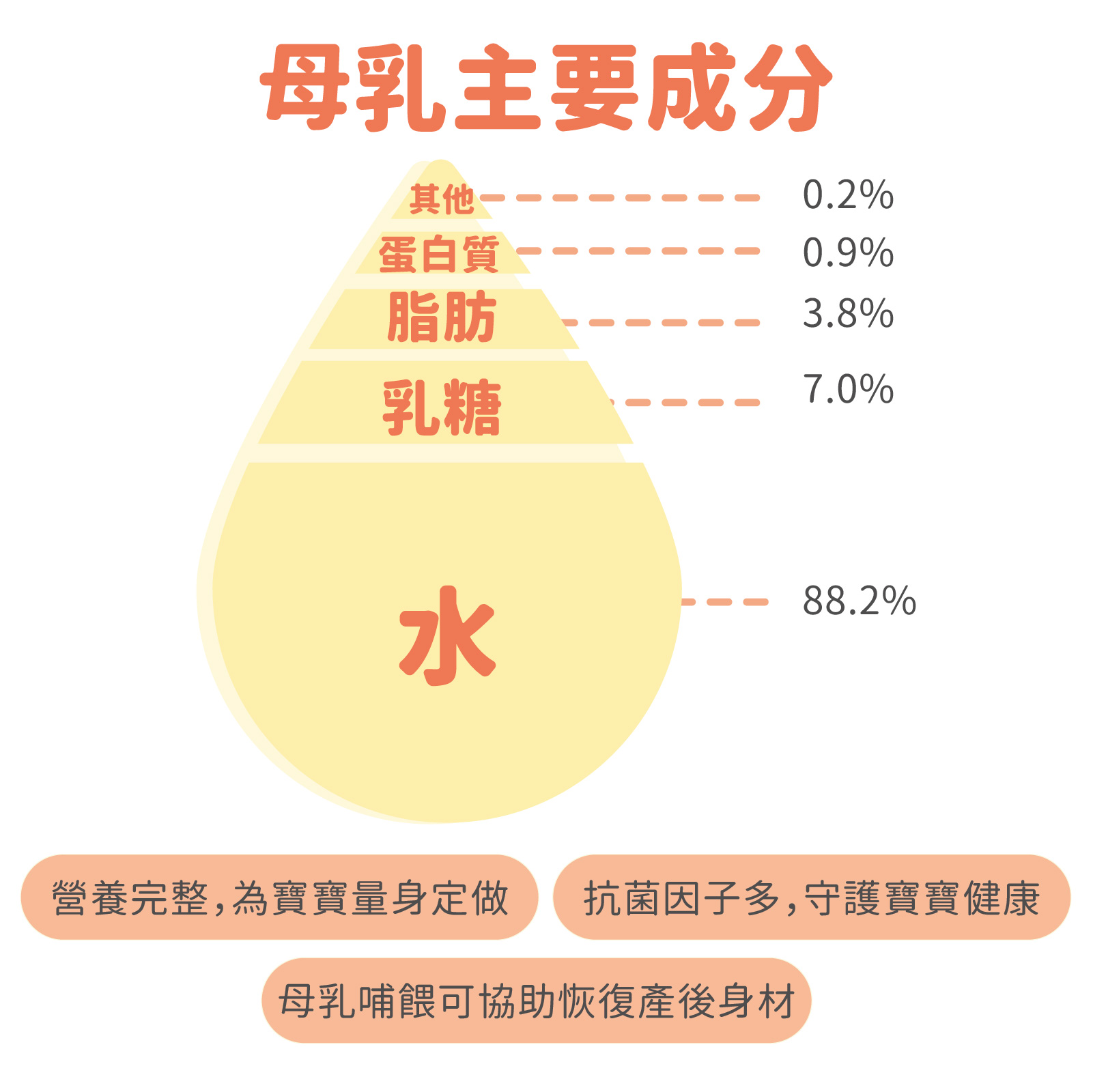 母乳飲食要注意什麼 了解各時期的母乳營養成分 幫助媽咪精準補充