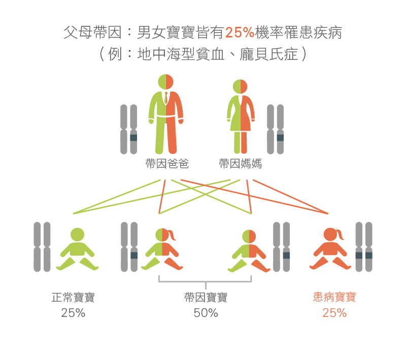 體染色體隱性遺傳疾病示意圖