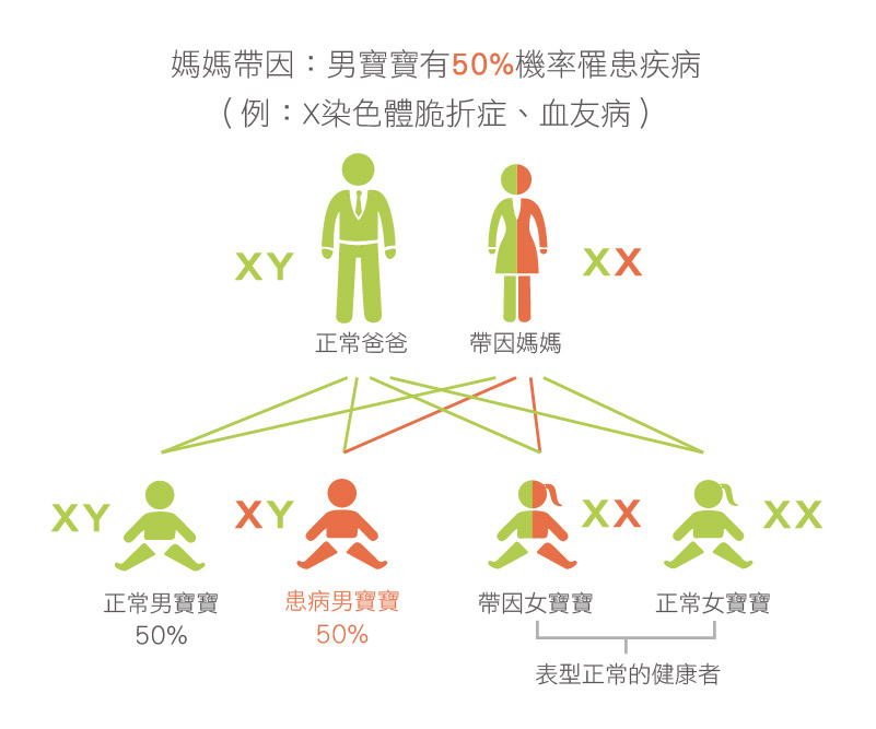 X性聯遺傳模式圖