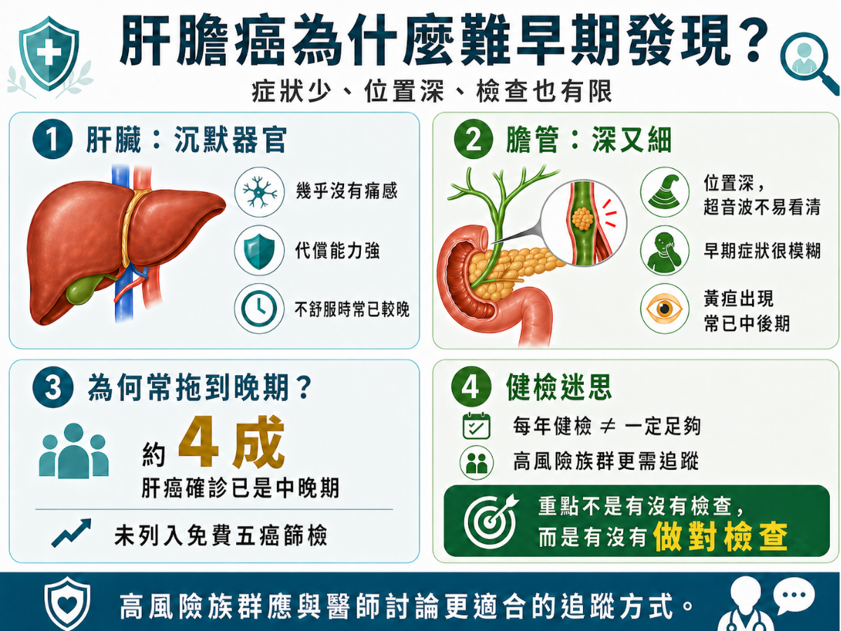 肝膽癌為什麼很難早期發現:症狀少、位置深、檢查有限