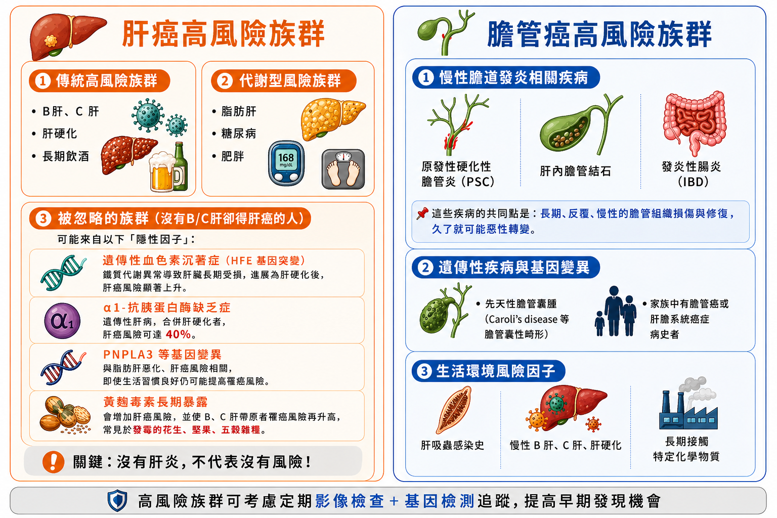 肝膽癌高風險族群:B肝、C肝、脂肪肝、糖尿病、膽道疾病與家族史