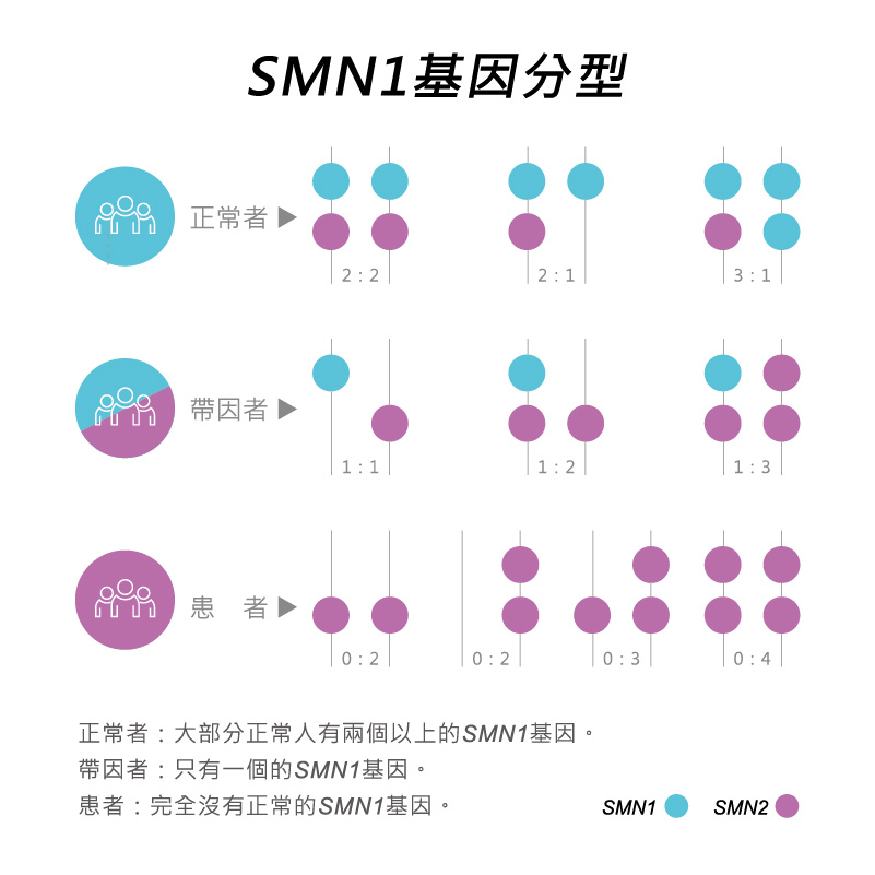 孕期健康檢查-脊髓性肌肉萎縮症-SMA