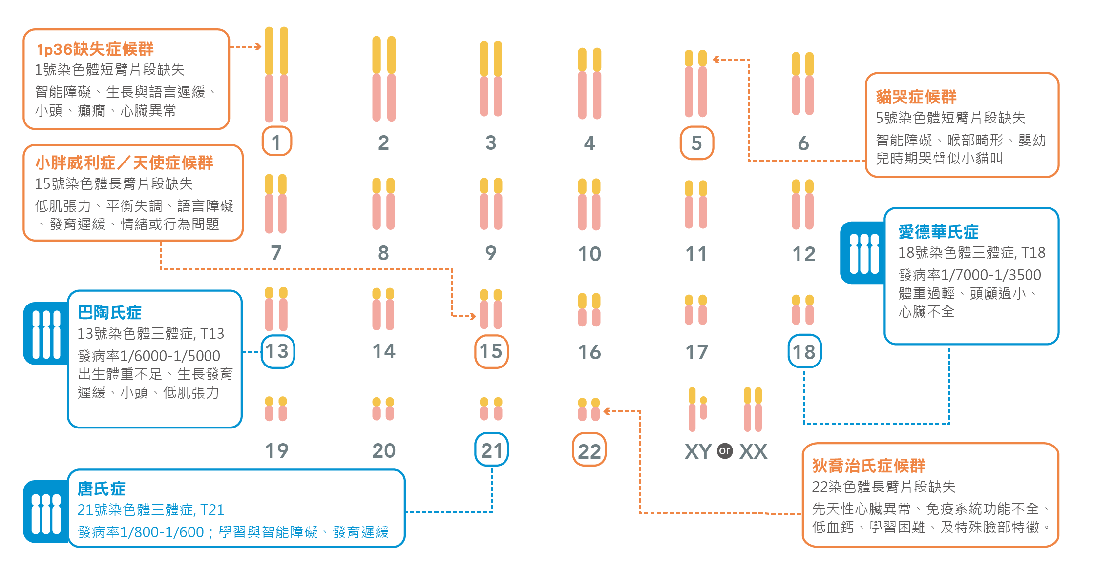 trisure基因檢測專注最具臨床檢測價值的疾病