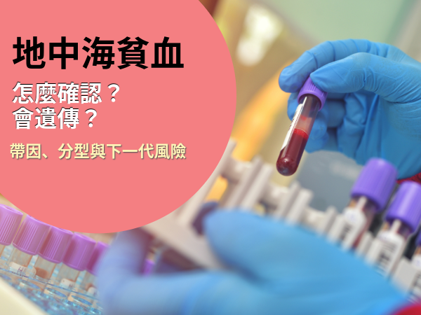 地中海貧血-封面.png