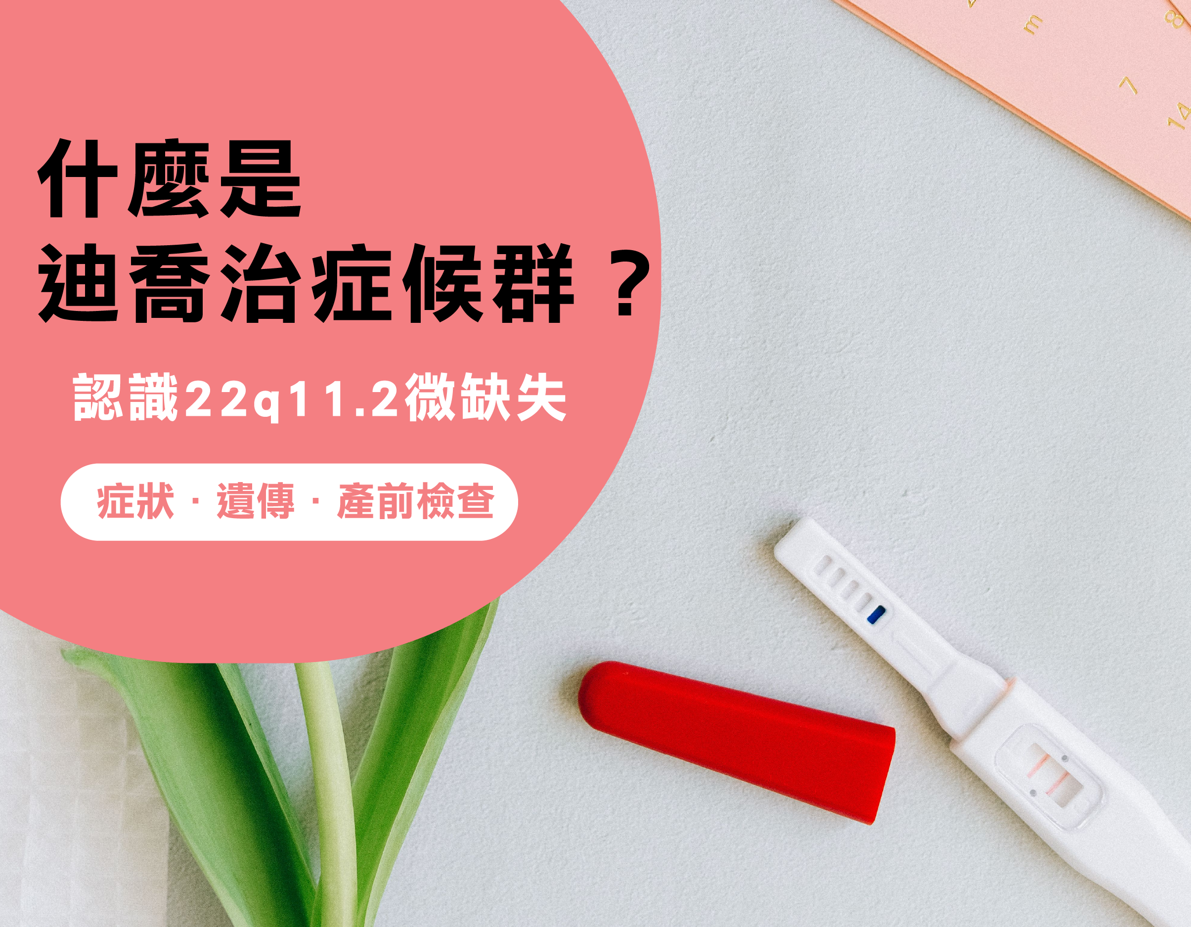 迪喬治症候群.png